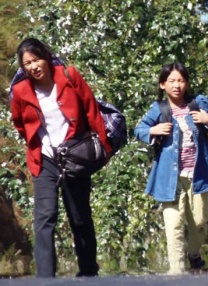 木下凛凛子av在线